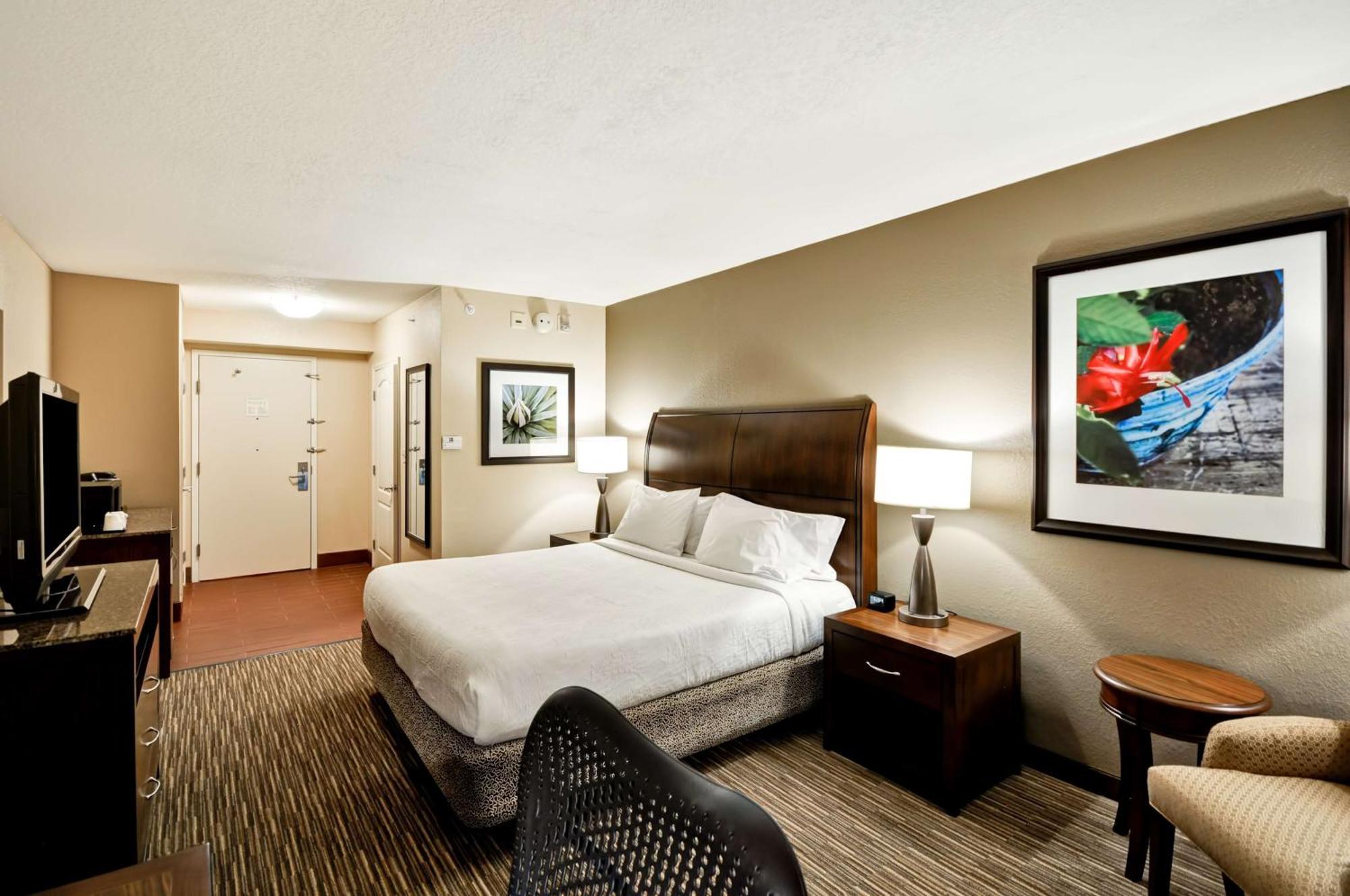 Hilton Garden Inn Tampa North Temple Terrace Exteriör bild